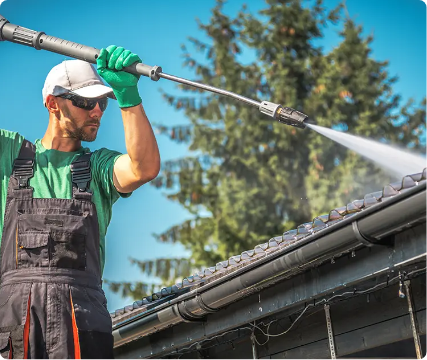 Roof Cleaning
